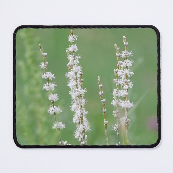 Item preview, White buckwheat wildflower designed and sold by Laurenvschijnd.