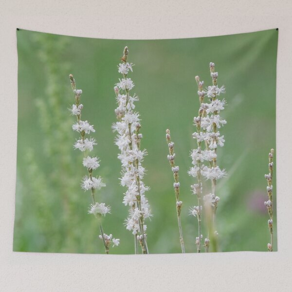 Item preview, White buckwheat wildflower designed and sold by Laurenvschijnd.