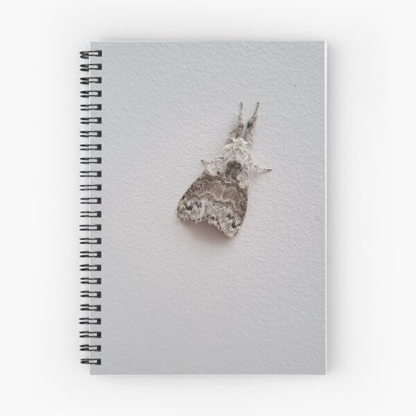 Item preview, Fluffy Moth! designed and sold by BornToBeWyld.