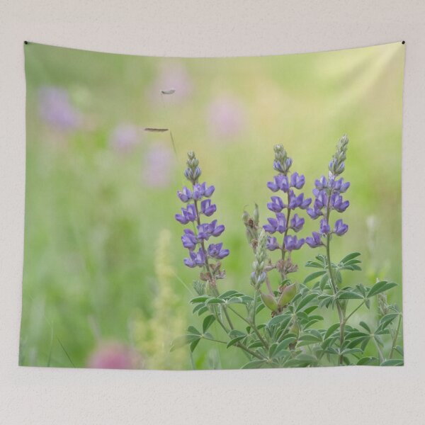Item preview, Blooming lupine in a spring meadow designed and sold by Laurenvschijnd.