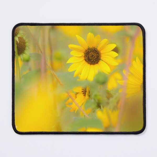 Item preview, Sunflower superbloom designed and sold by Laurenvschijnd.
