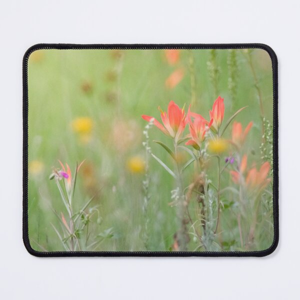 Item preview, Red wildflowers blooming in a field designed and sold by Laurenvschijnd.