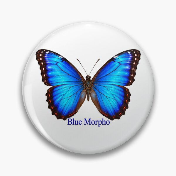 Item preview, Blue Morpho Butterfly designed and sold by LnsCreations.