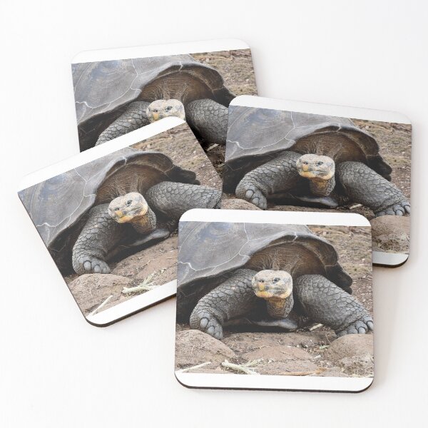 Item preview, Giant Tortoise, Great Expression, The Galapagos designed and sold by Tom Wurl.