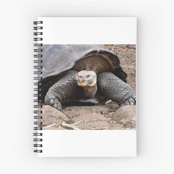 Item preview, Giant Tortoise, Great Expression, The Galapagos designed and sold by Tom Wurl.