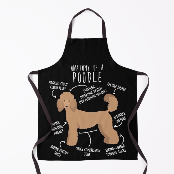 Item preview, Apricot Standard Poodle Dog Anatomy designed and sold by Clara Hollins.