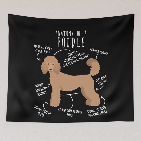 Item preview, Apricot Standard Poodle Dog Anatomy designed and sold by Clara Hollins.