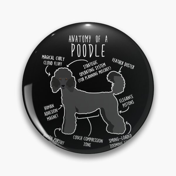 Item preview, Black Standard Poodle Dog Anatomy designed and sold by Clara Hollins.