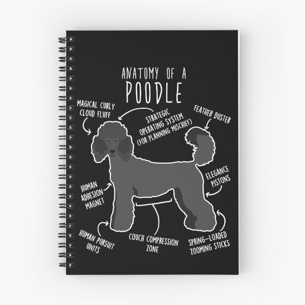 Item preview, Black Standard Poodle Dog Anatomy designed and sold by Clara Hollins.