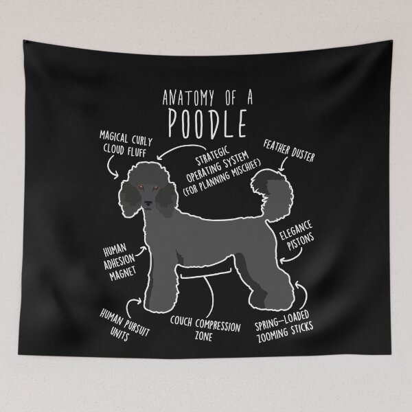 Item preview, Black Standard Poodle Dog Anatomy designed and sold by Clara Hollins.