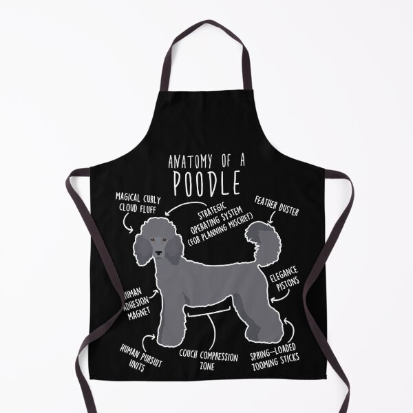 Item preview, Blue Standard Poodle Dog Anatomy designed and sold by Clara Hollins.