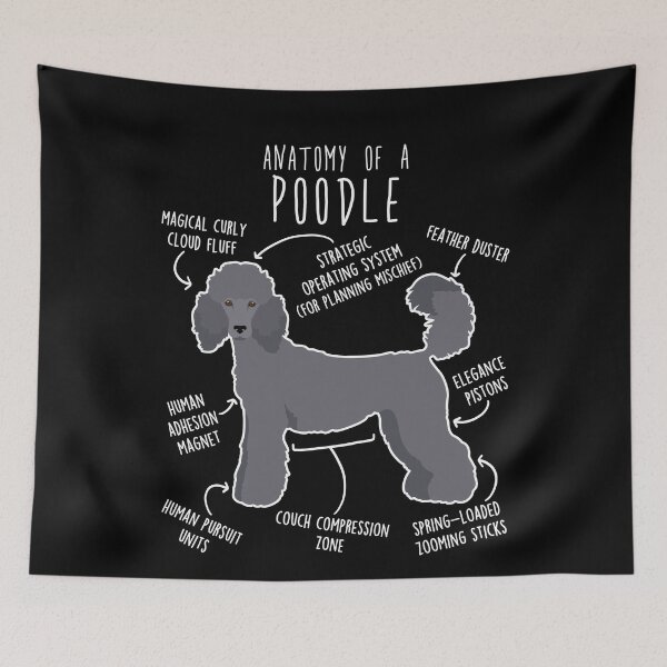 Item preview, Blue Standard Poodle Dog Anatomy designed and sold by Clara Hollins.