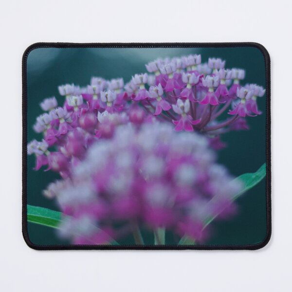Item preview, Milkweed Blossoms designed and sold by DenaHaines.