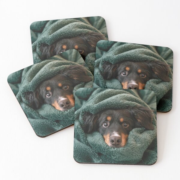 Item preview, Bernese Mountain Dog in Blanket 01 designed and sold by Elisabeth Lucas.