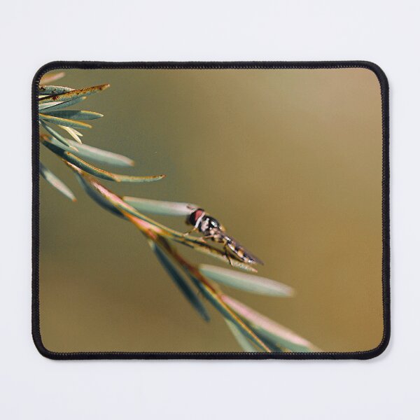 Item preview, Bug 3 designed and sold by Jodie Cooper.