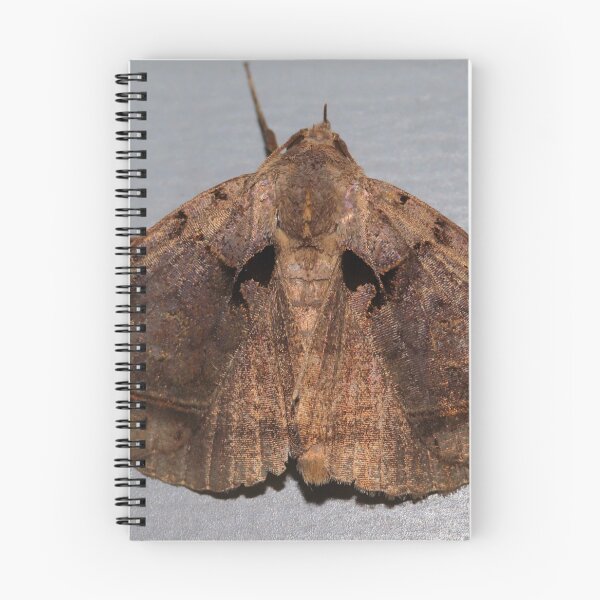 Item preview, Black bit moth designed and sold by Parks and X.