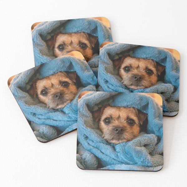 Item preview, Border Terrier in Blanket 01 designed and sold by Elisabeth Lucas.
