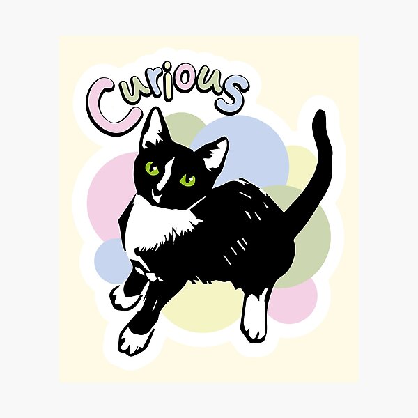 Item preview, Curious colorful cat doodle designed and sold by Konopikyu.