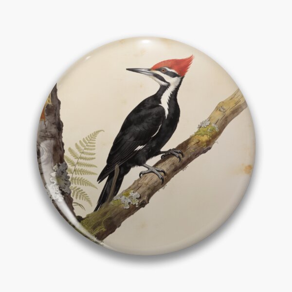 Item preview, Pileated Woodpecker Vintage Natural History Bird Plate designed and sold by RookAndLantern.