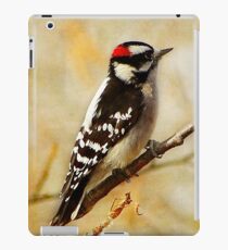 Autumn Repose iPad Case/Skin