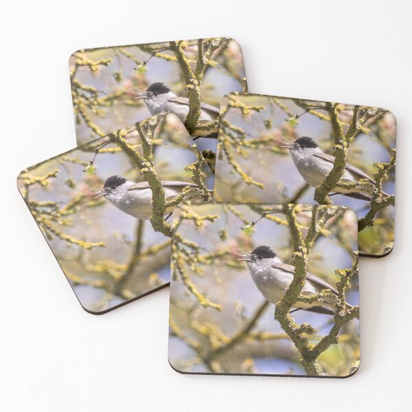 Item preview, Blackcap Songbird Perched on Mossy Tree Branch designed and sold by BramKellingCA.