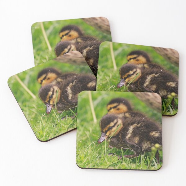 Item preview, Cute Ducklings Exploring Fresh Green Grass designed and sold by BramKellingCA.