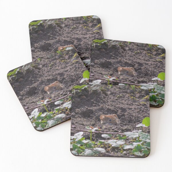 Item preview, Tiny Wild Mouse Peeking Out from Garden Soil designed and sold by BramKellingCA.