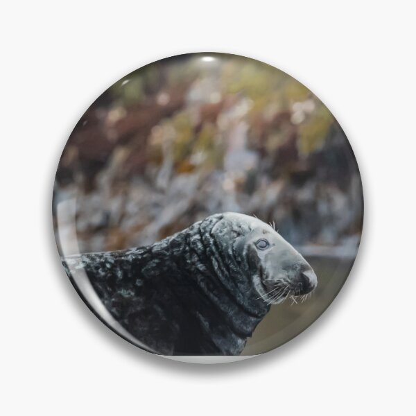 Item preview, Seal in Norway designed and sold by XaviFotografia.