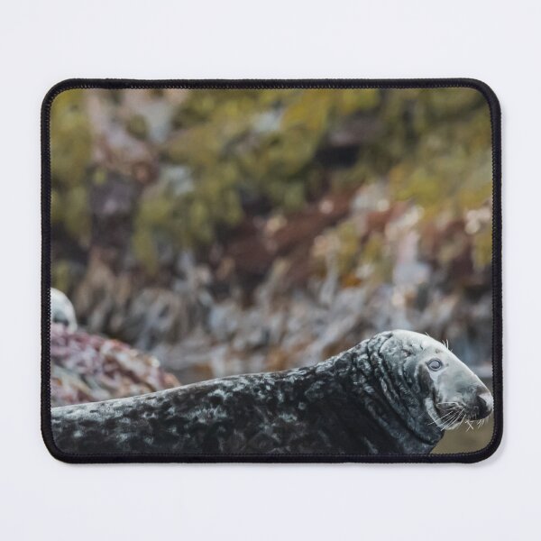 Item preview, Seal in Norway designed and sold by XaviFotografia.