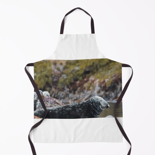 Item preview, Seal in Norway designed and sold by XaviFotografia.