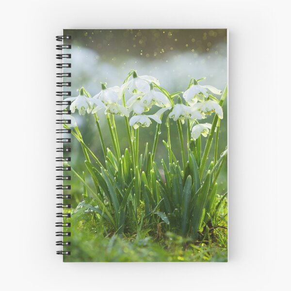 Item preview, Snowdrop Shower designed and sold by leebeelphoto.