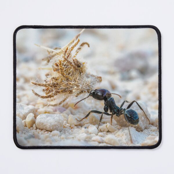 Item preview, Hard Working Ant designed and sold by Ralph Goldsmith.
