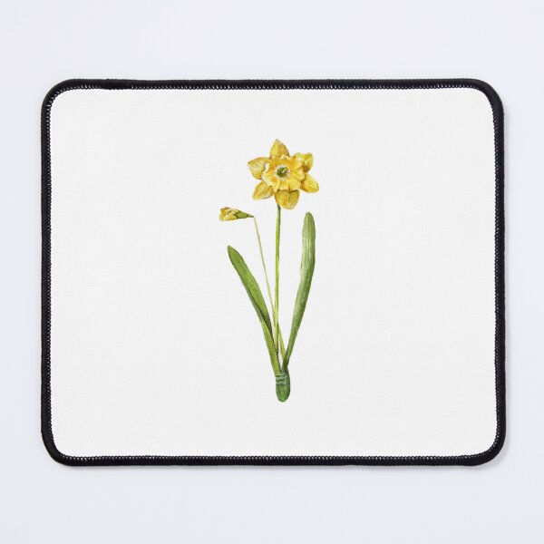 Item preview, March Birth Flower - Jonquil designed and sold by Anyahei.