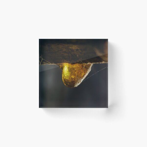 Item preview, Sap designed and sold by Ralph Goldsmith.
