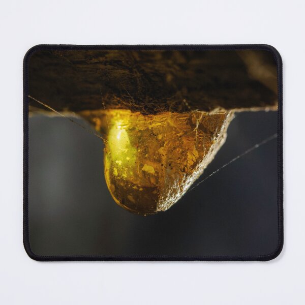 Item preview, Sap designed and sold by Ralph Goldsmith.