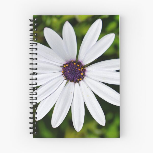 Item preview, White African Daisy designed and sold by wendyhattonphotography.