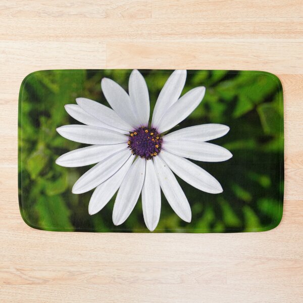 Item preview, White African Daisy designed and sold by wendyhattonphotography.