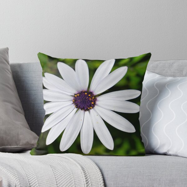 Item preview, White African Daisy designed and sold by wendyhattonphotography.