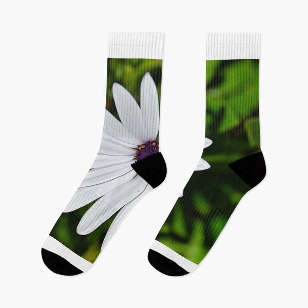 Item preview, White African Daisy designed and sold by wendyhattonphotography.