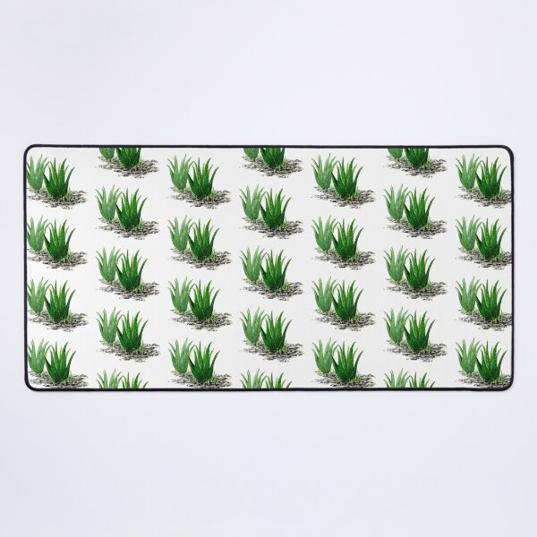 Item preview, September 11th birthday flower Aloe designed and sold by 366birthflower.