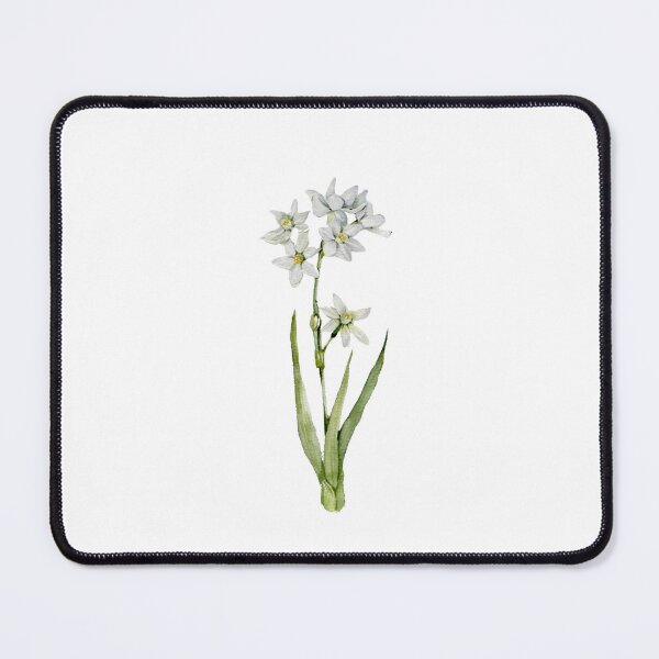 Item preview, December Birth Flower - Paperwhite Narcissus designed and sold by Anyahei.