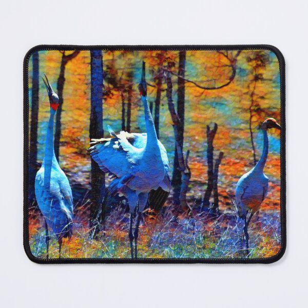 Item preview, AUSTRALIAN BROLGA, BIRDLIFE, WALL ART designed and sold by Barbara Jean Photo Art And Design.