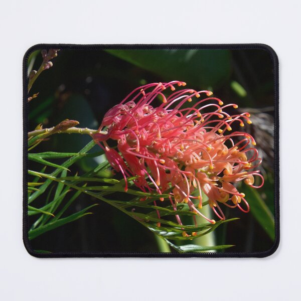 Item preview, GREVILLEA FLOWER, PROTEACEAE, BIOPHILIC DESIGNS designed and sold by Barbara Jean Photo Art And Design.