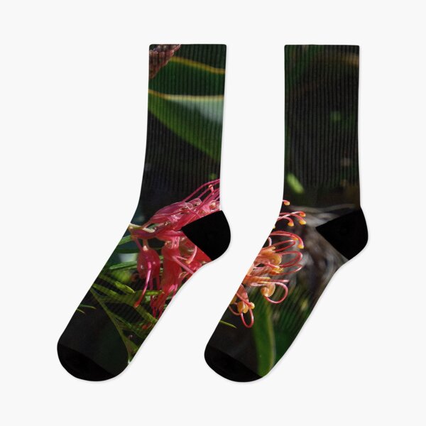 Item preview, GREVILLEA FLOWER, PROTEACEAE, BIOPHILIC DESIGNS designed and sold by Barbara Jean Photo Art And Design.