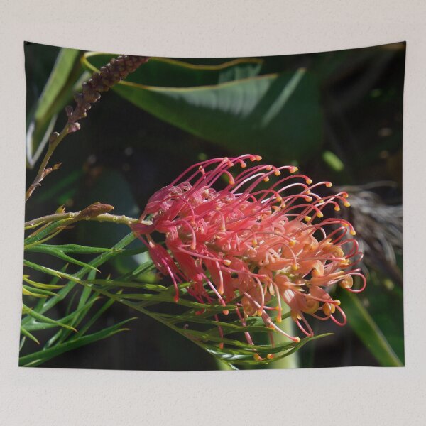 Item preview, GREVILLEA FLOWER, PROTEACEAE, BIOPHILIC DESIGNS designed and sold by Barbara Jean Photo Art And Design.