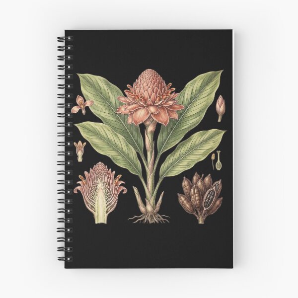 Item preview, Vintage Botanical Pink Torch Ginger – Black Dark Academia Flora Art designed and sold by Wennebabs.