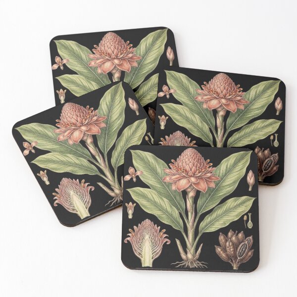 Item preview, Vintage Botanical Pink Torch Ginger – Black Dark Academia Flora Art designed and sold by Wennebabs.