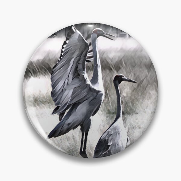 Item preview, Australian Brolga, WILD BIRD, WALL DECOR designed and sold by Barbara Jean Photo Art And Design.
