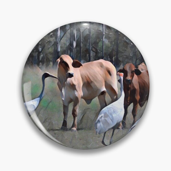 Item preview, AUSTRALIAN BROLGA, BIRDLIFE, WALL DECOR designed and sold by Barbara Jean Photo Art And Design.