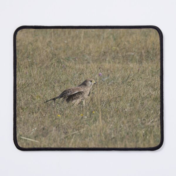 Item preview, Frozen reality - Beautiful nature 1019 designed and sold by deep-sea-birds.